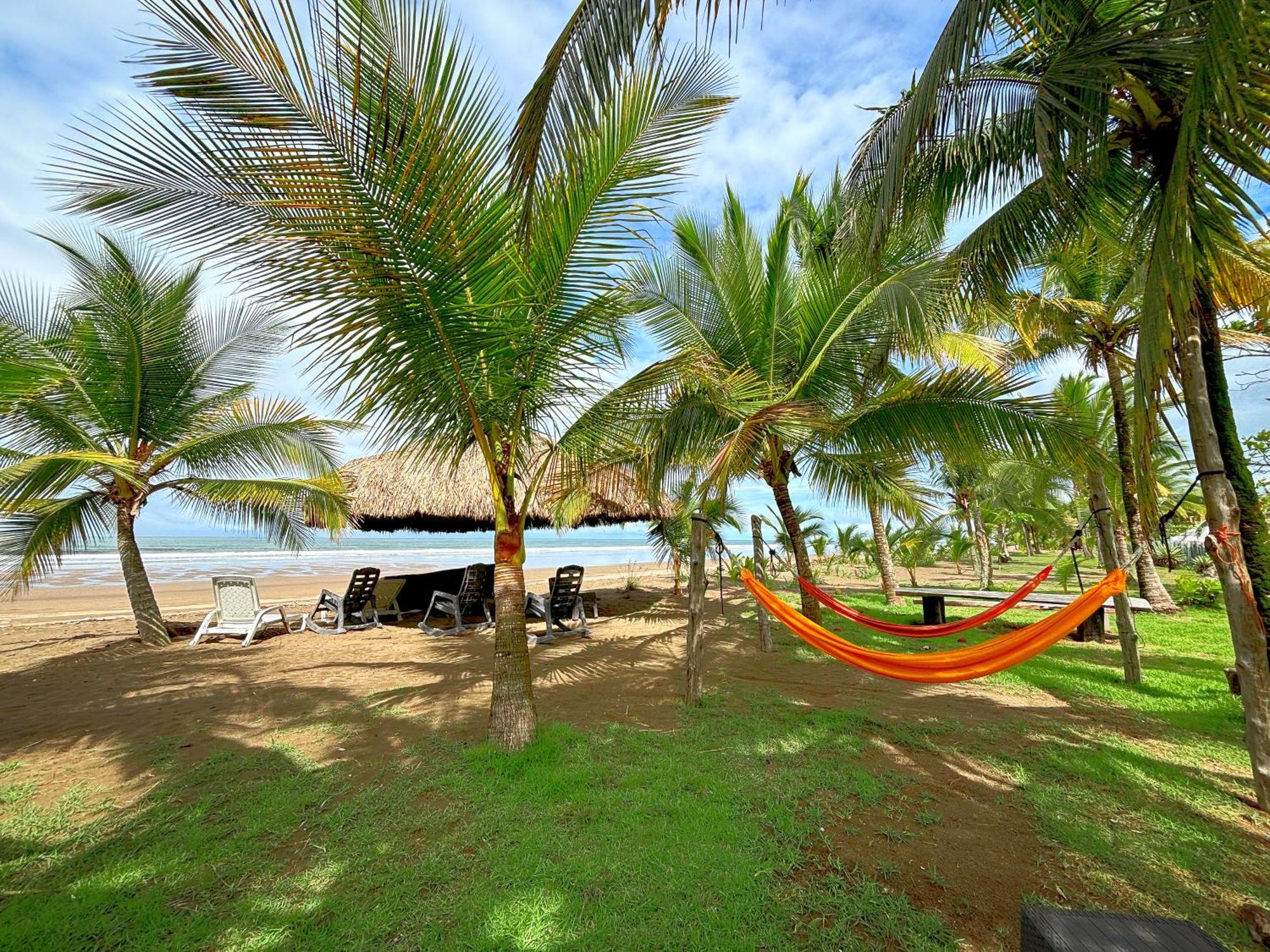 Apartmán Royal Palm Retreat Cabrera Exteriér fotografie